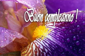 http://www.auguribuoncompleanno.com/immagini-auguri-di-compleanno/petali-auguri.jpg